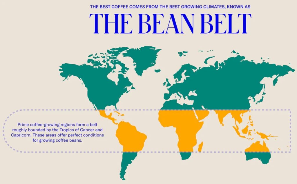The coffee bean belt