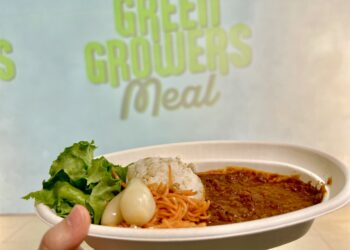 プラントベースフードを使ったキーマカレーを食べてみた!【美味しいの?】