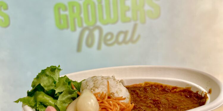 プラントベースフードを使ったキーマカレーを食べてみた!【美味しいの?】