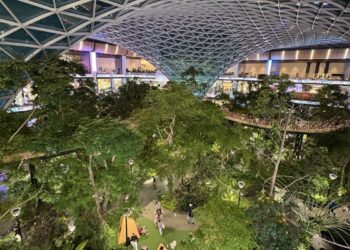 屋内熱帯庭園「The Orchard（オーチャード）」の様子