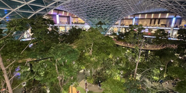 屋内熱帯庭園「The Orchard（オーチャード）」の様子