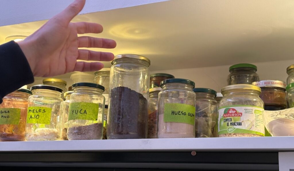 スタジオに並んでいる様々な有機廃棄物のサンプル